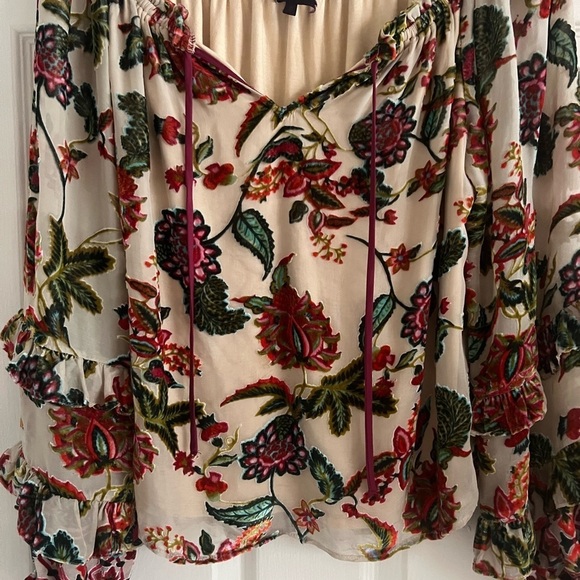 Hale Bob burnout velvet blouse. Floral print. Ruffle sleeves. EUC. Size small - Picture 3 of 9